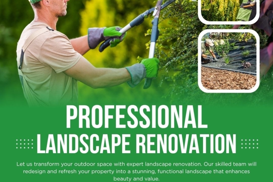 Landscape Renovation